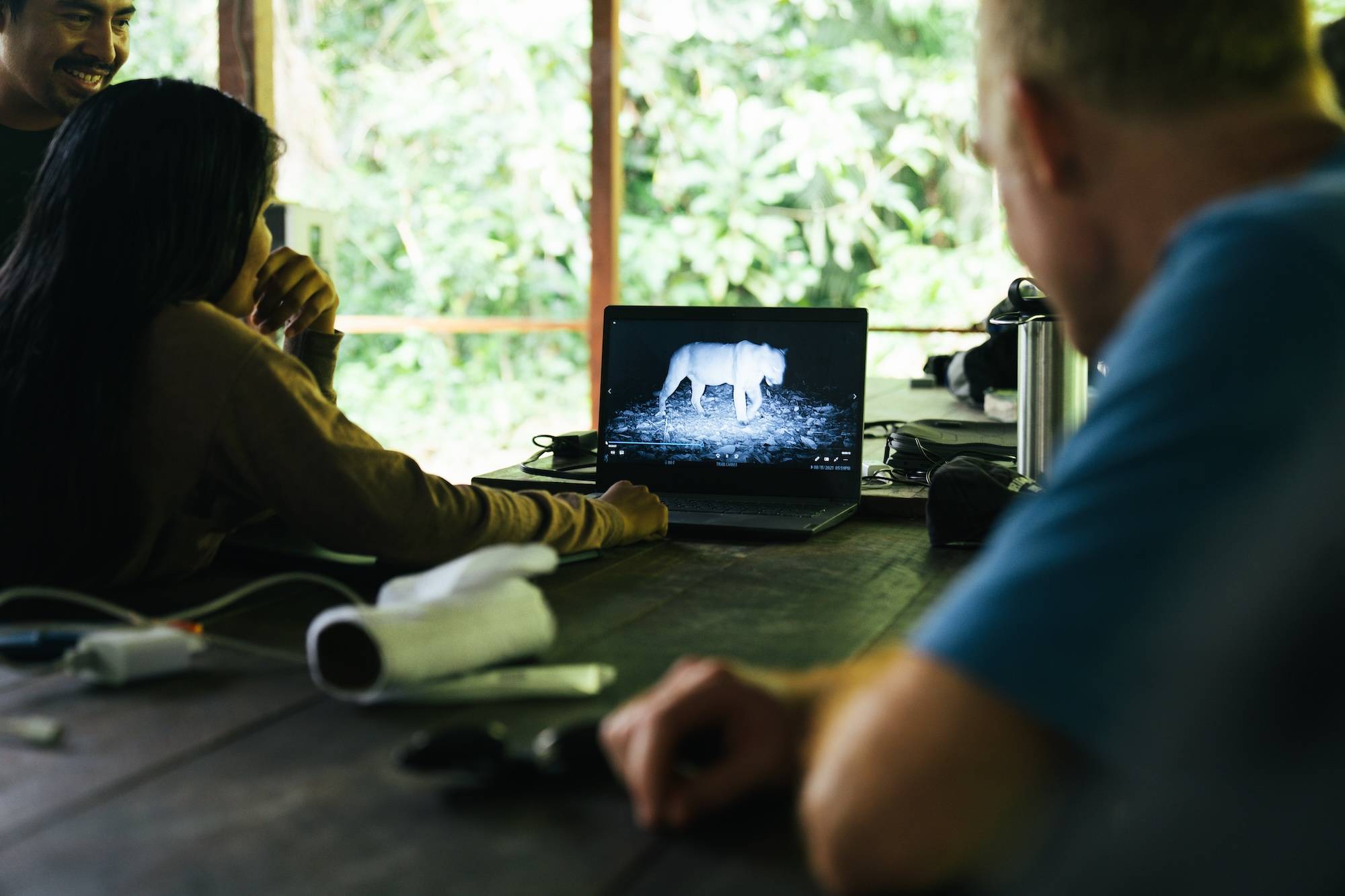 Wilderness International