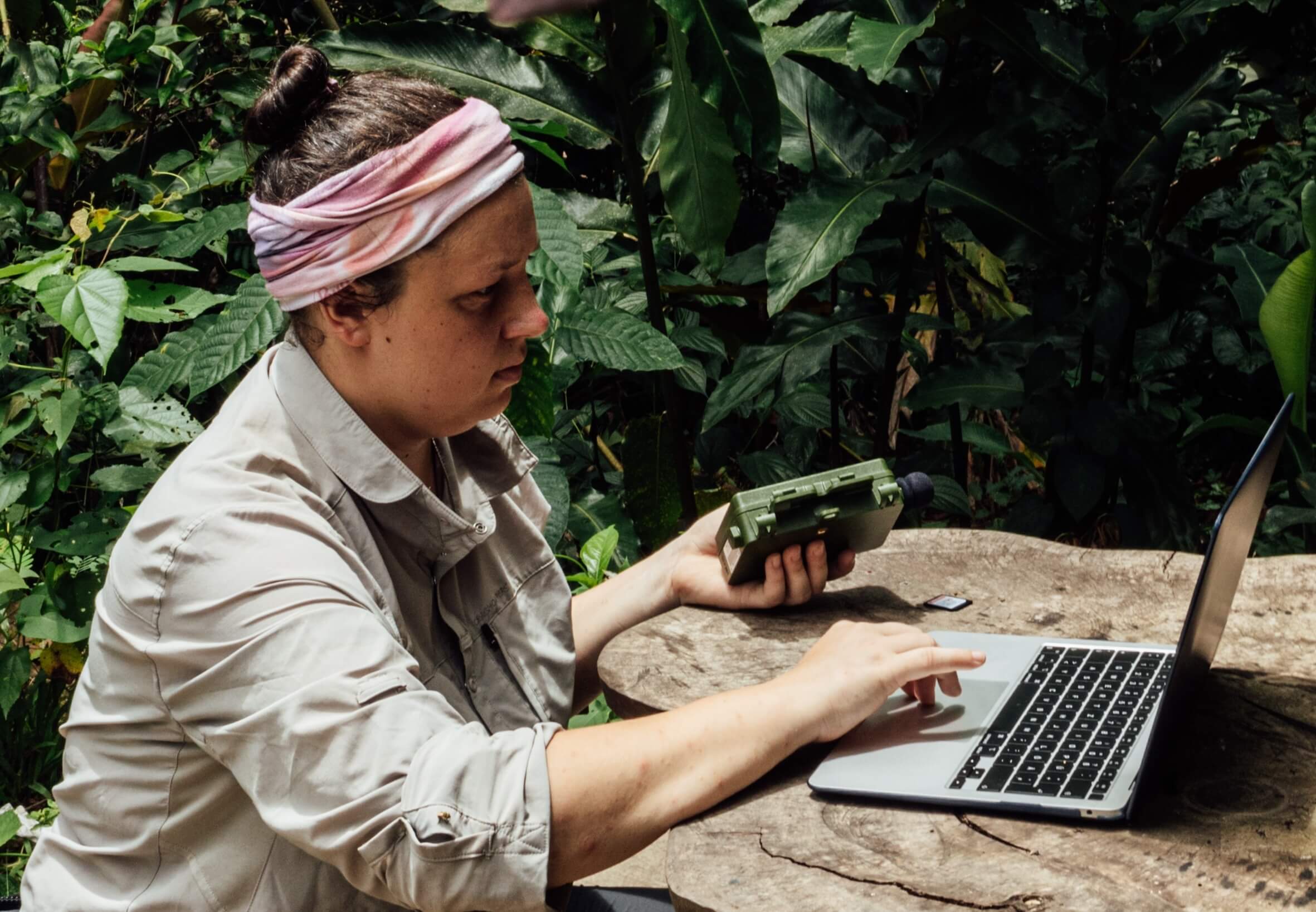 Wilderness International