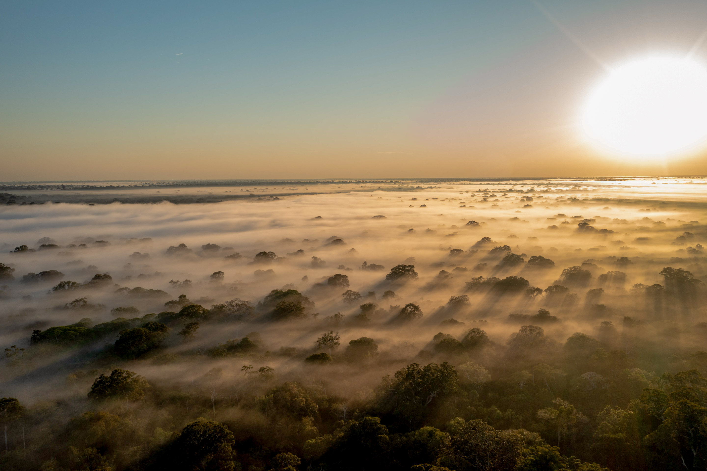 Wilderness International