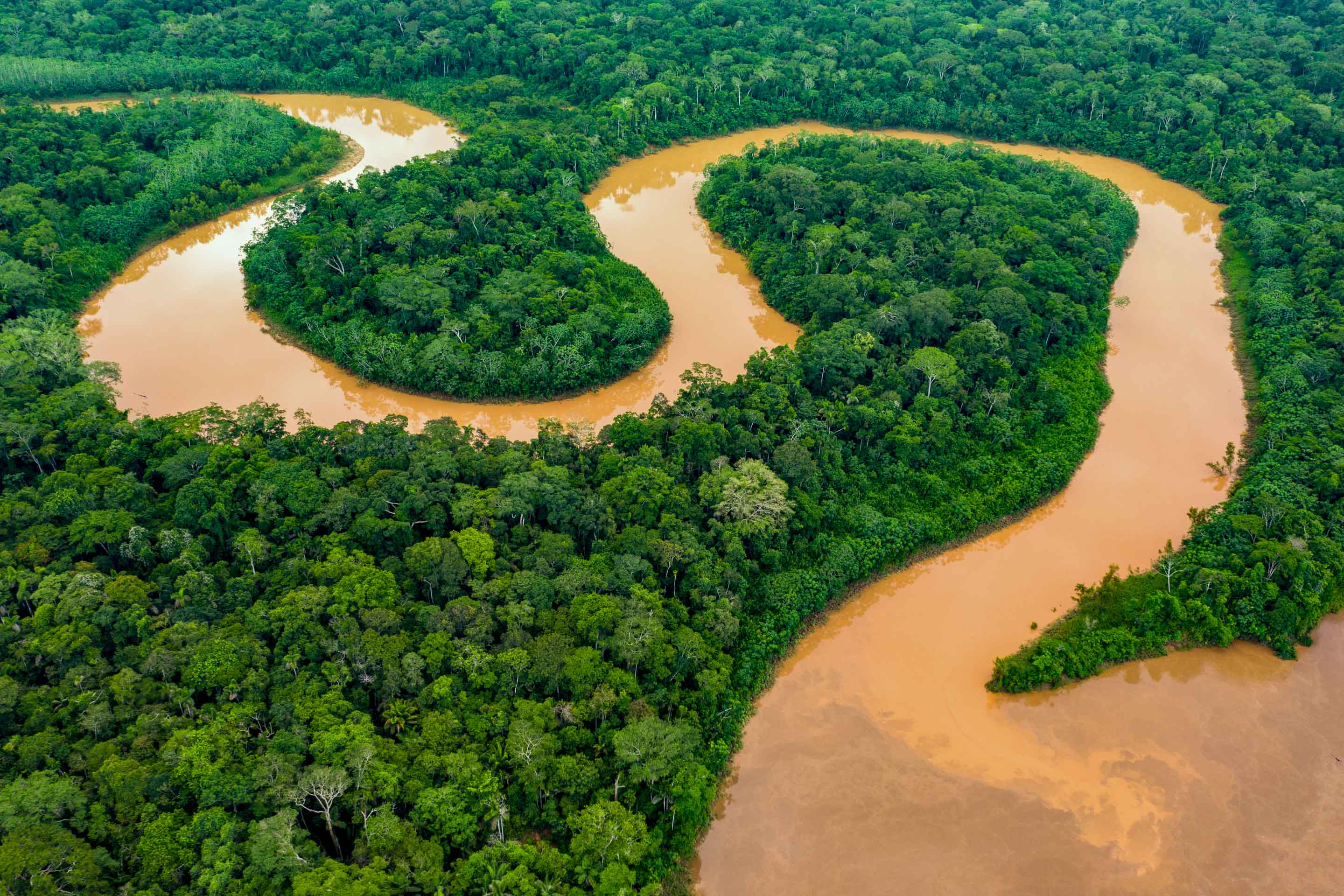 Regenwaldfluss mäandert durch Wald