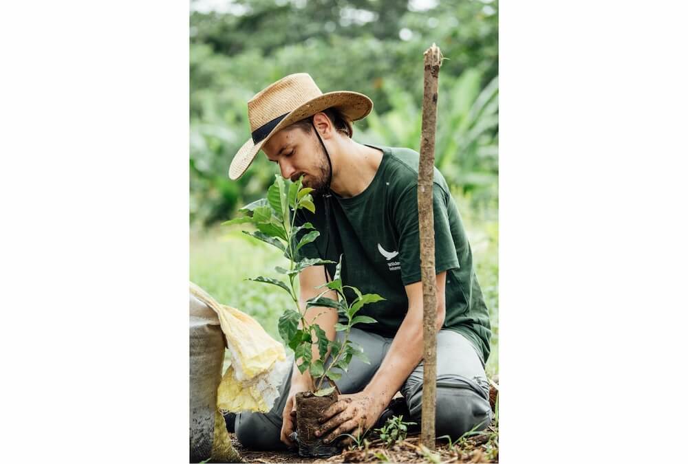 Wilderness International