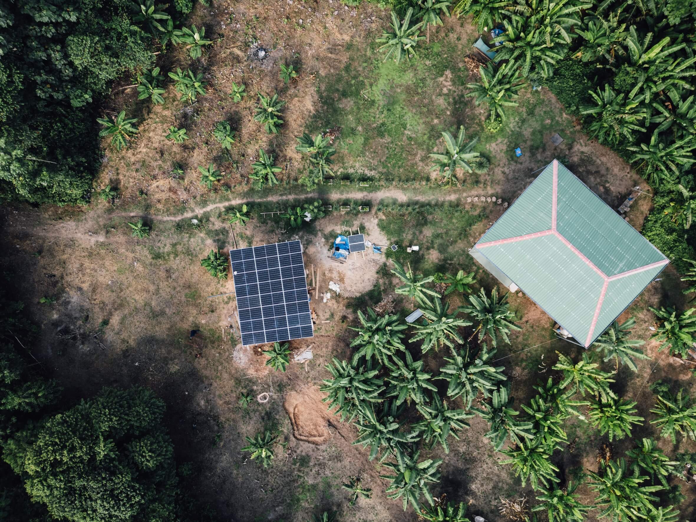 Wilderness International