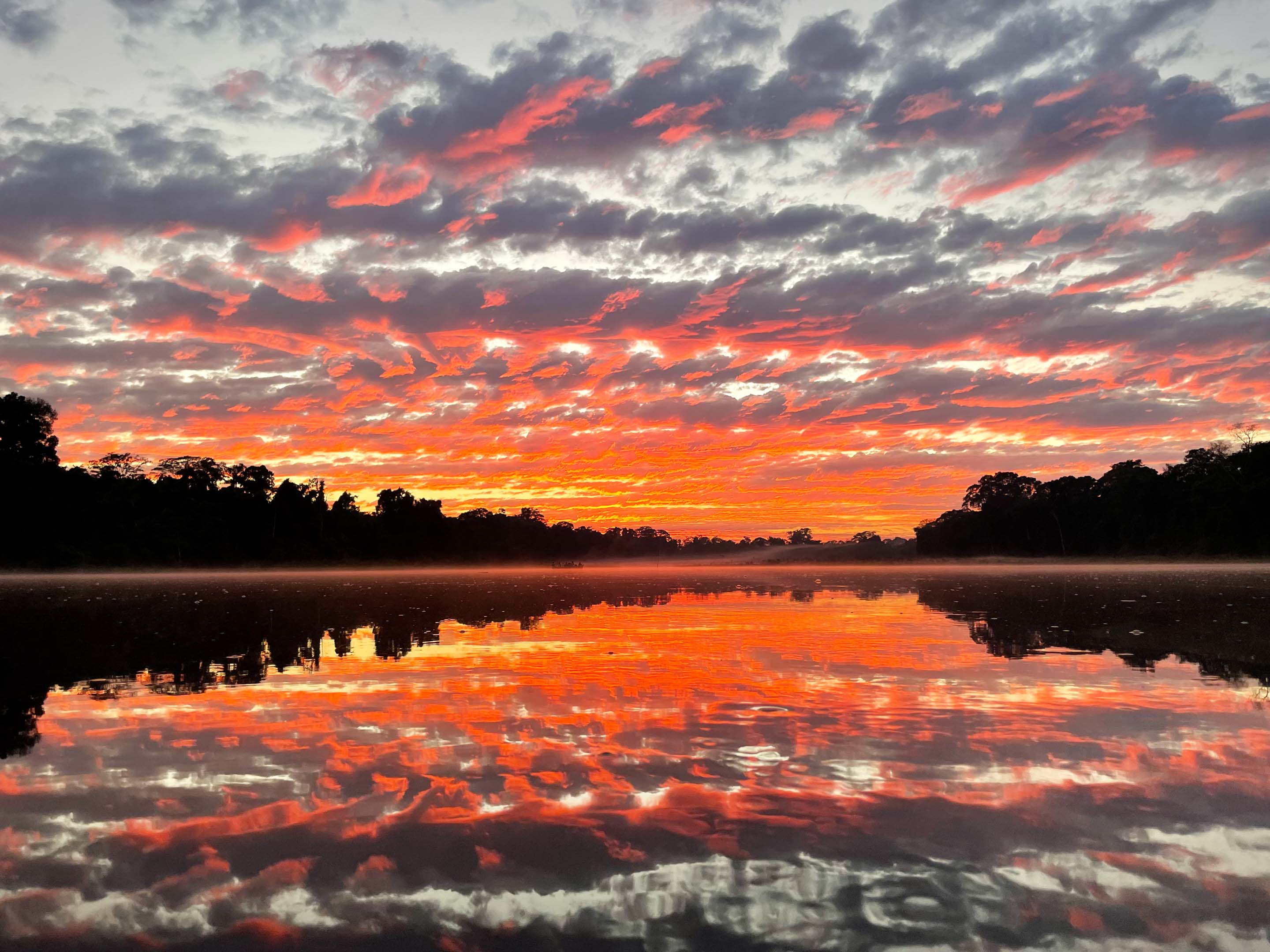 Wilderness International