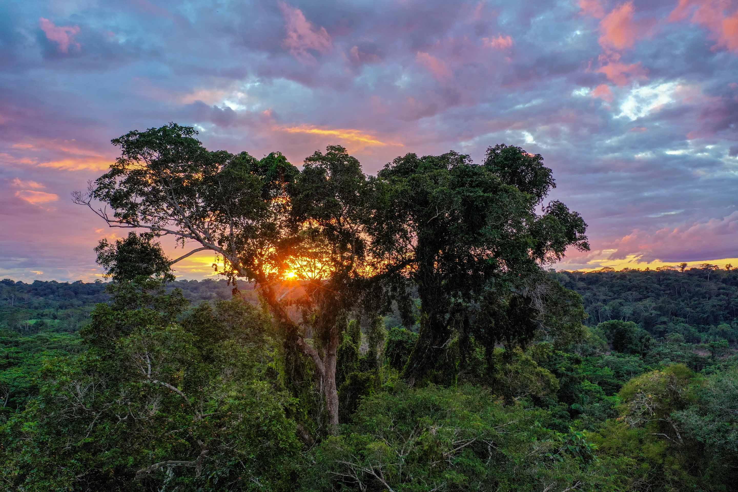 Wilderness International