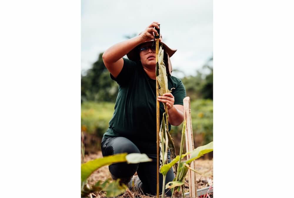 Wilderness International