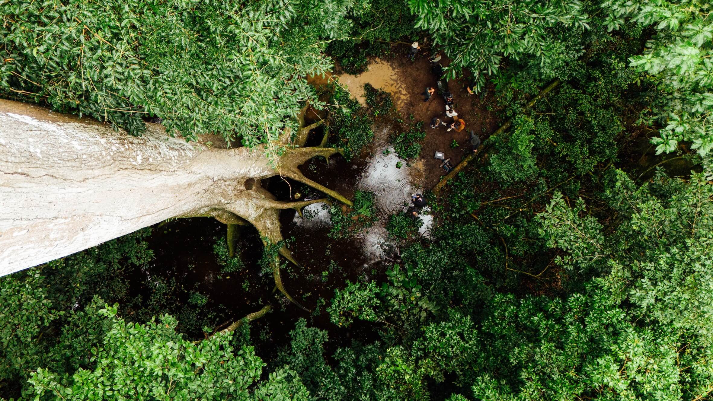 Wilderness International