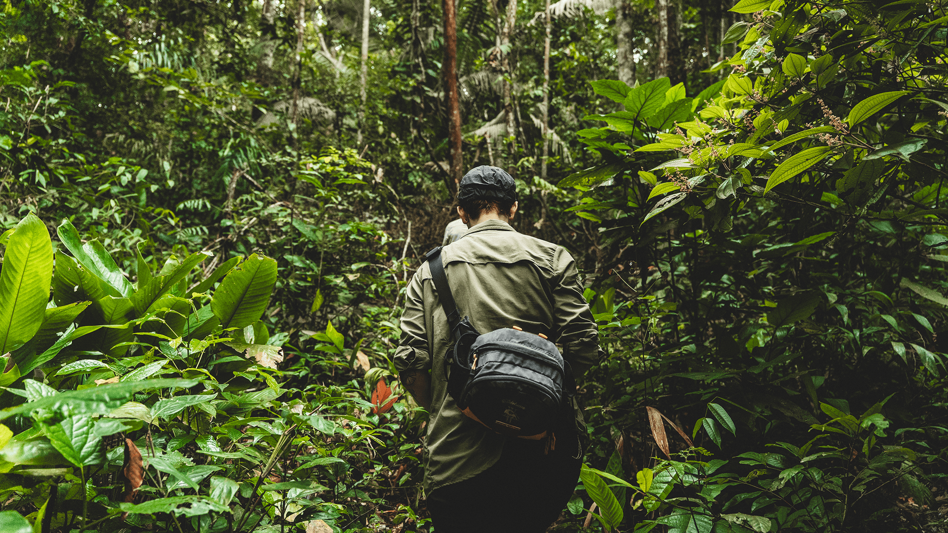 Wilderness International
