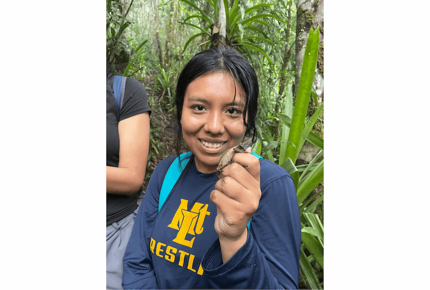 Wilderness International