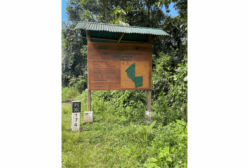 Wilderness International