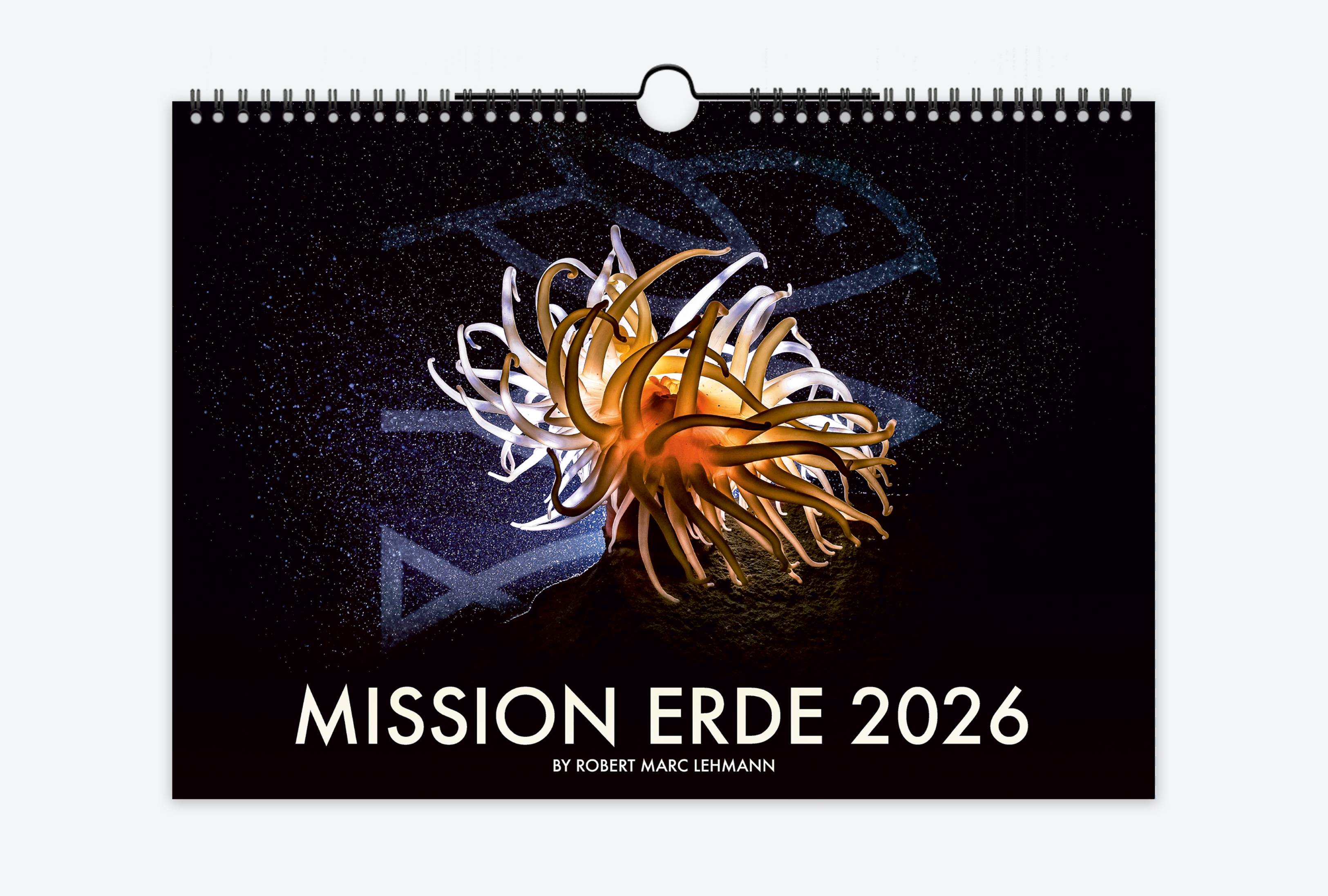 Wilderness International