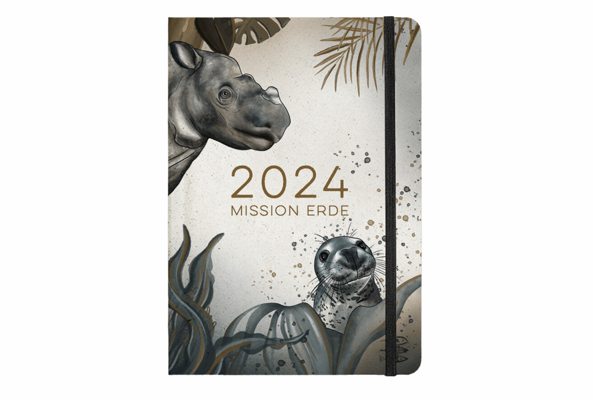 Wilderness International