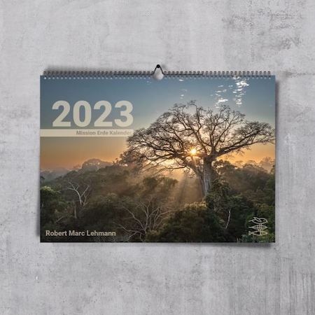 Wilderness International