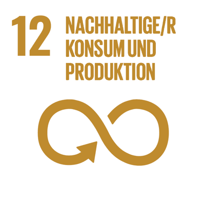 Icon SDG 12 sustainable consumption and production