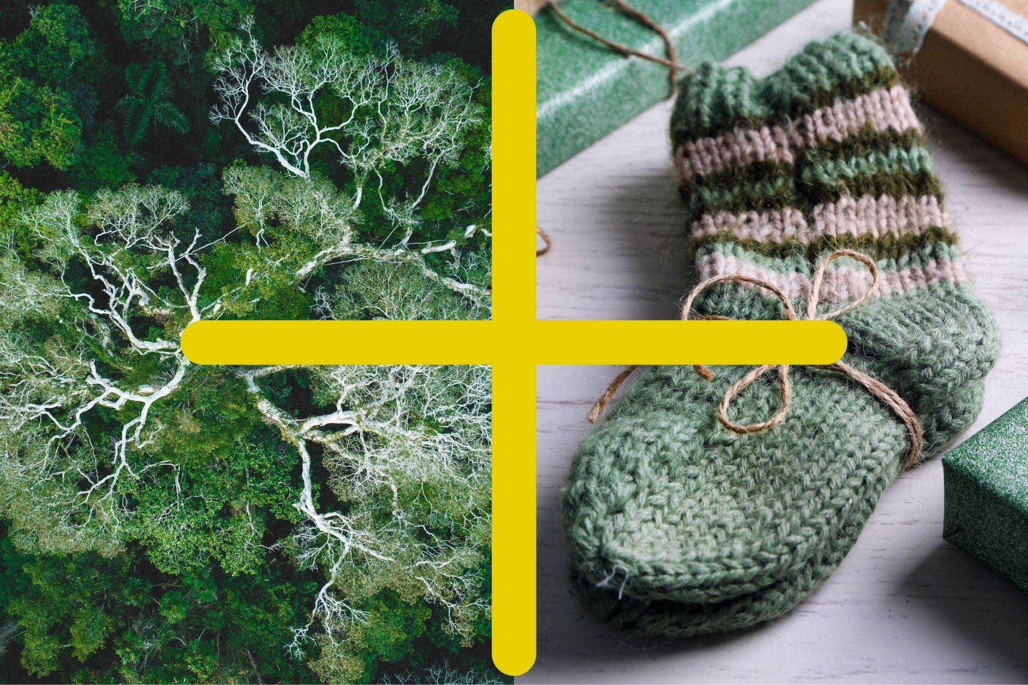 Wilderness International