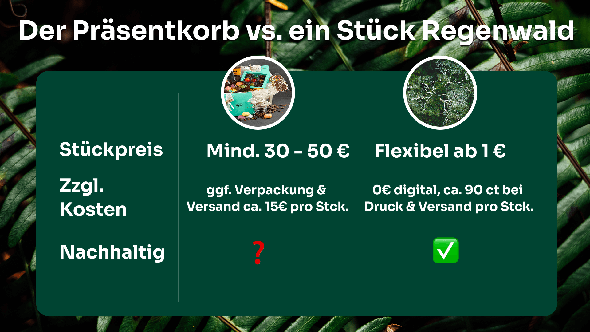 Wilderness International