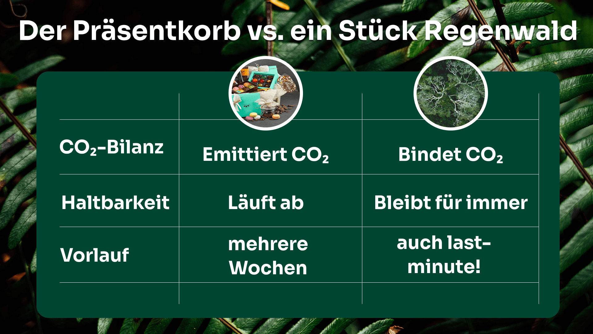 Wilderness International