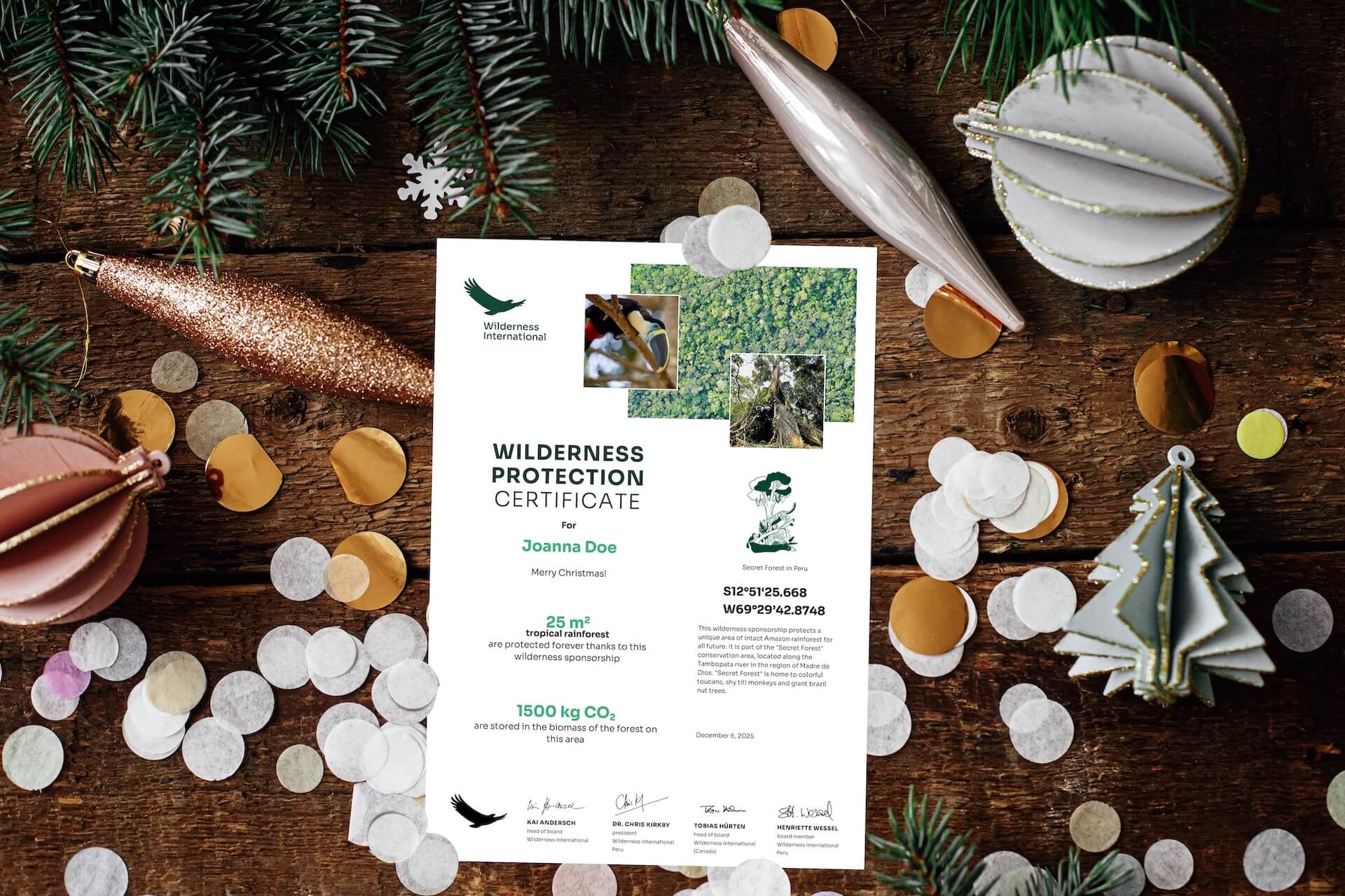 Wilderness International