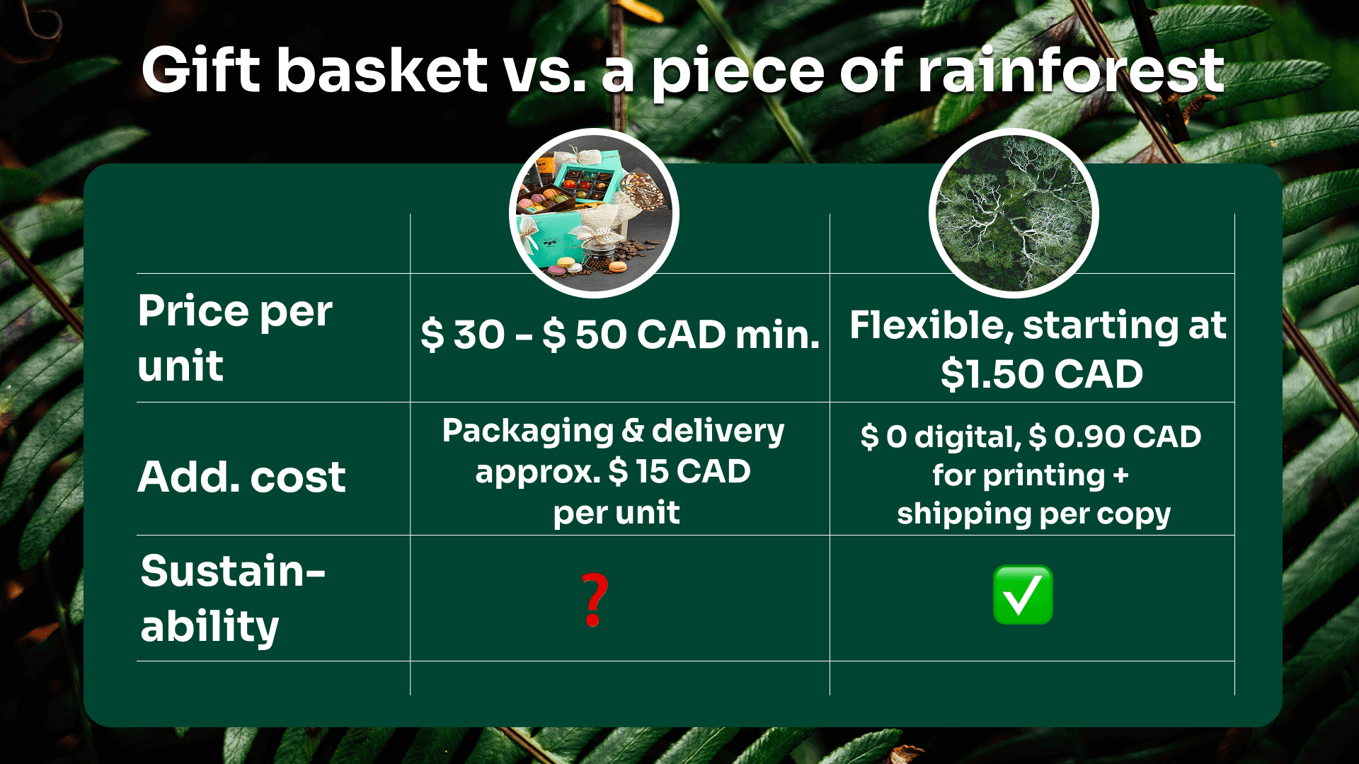 Wilderness International