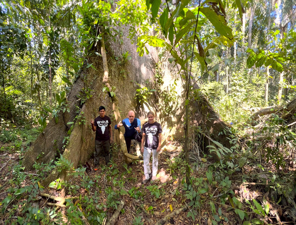The Wilderness International team wearing Wacken T-shirts in front of a giant buttress tree in Peru.