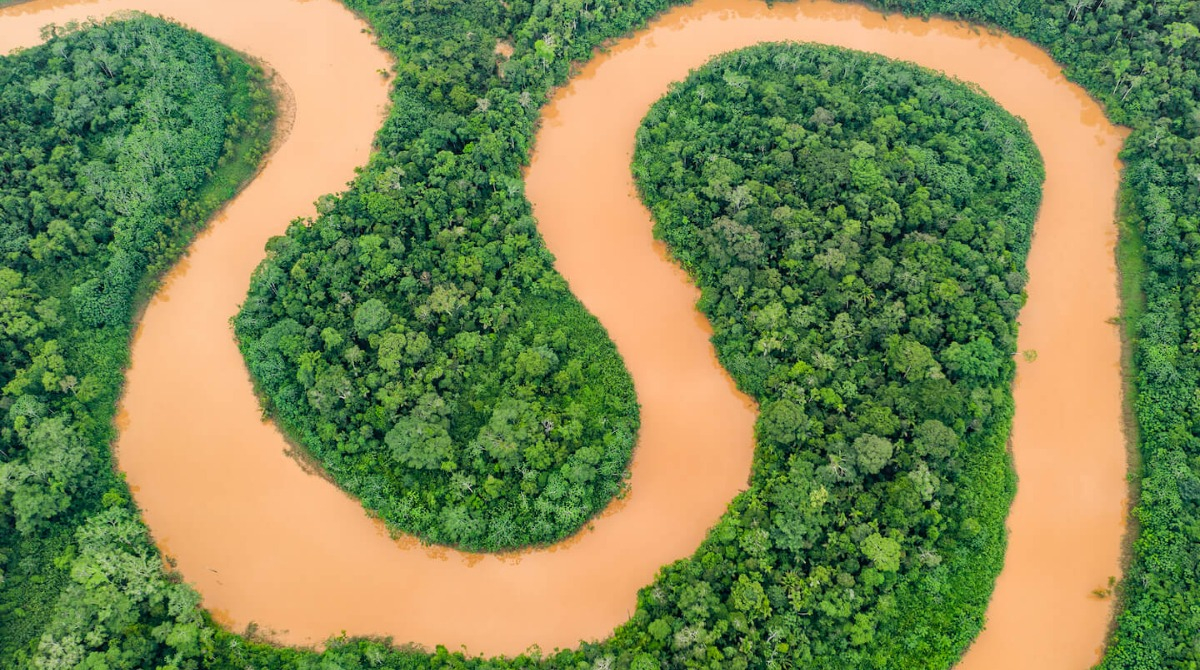 Wilderness International