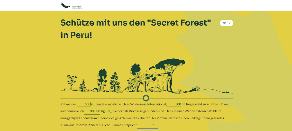 Wilderness International