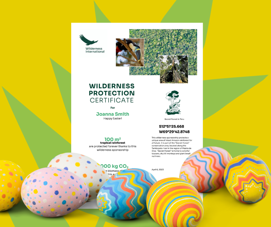 Wilderness International