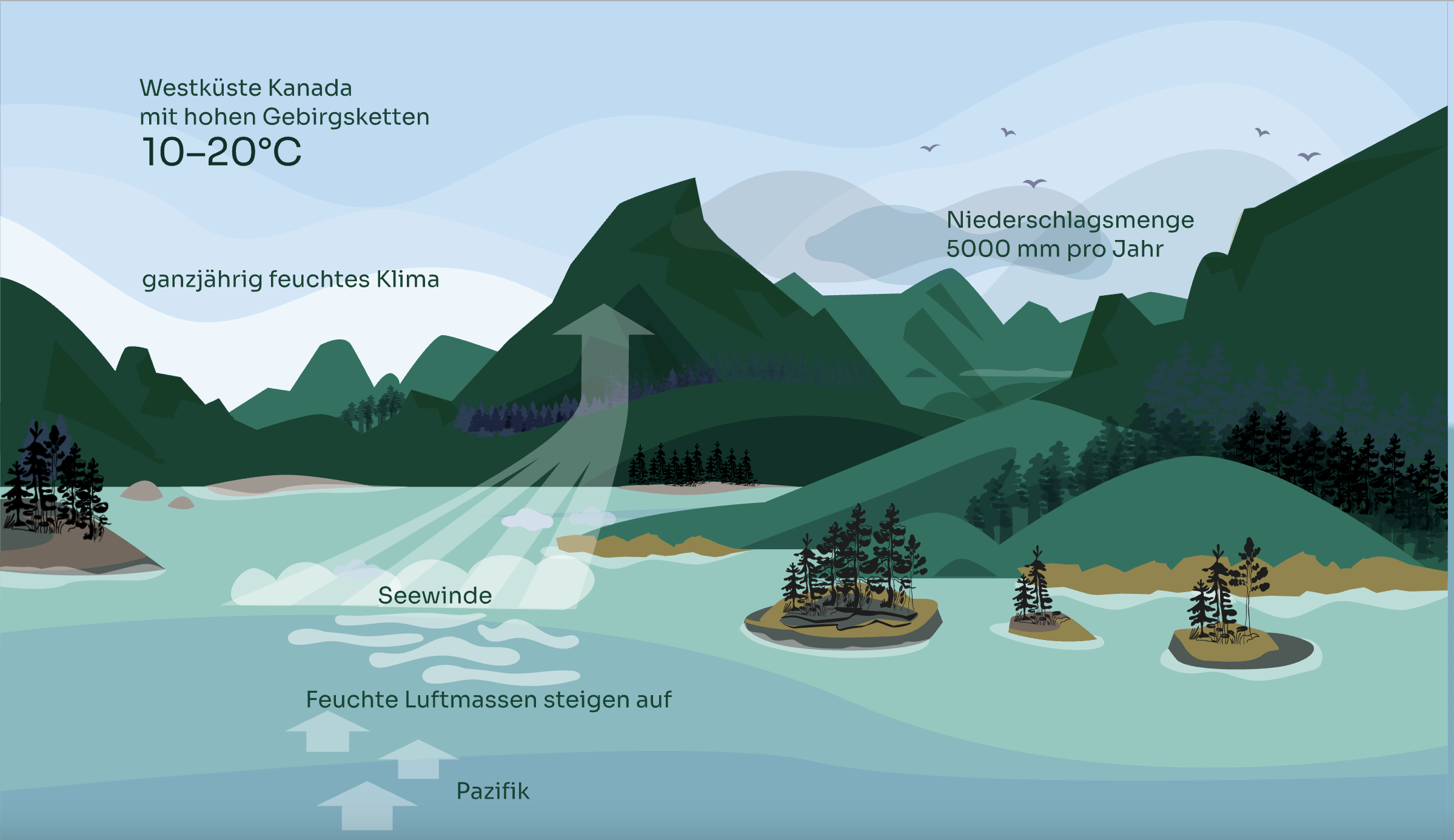 Wilderness International