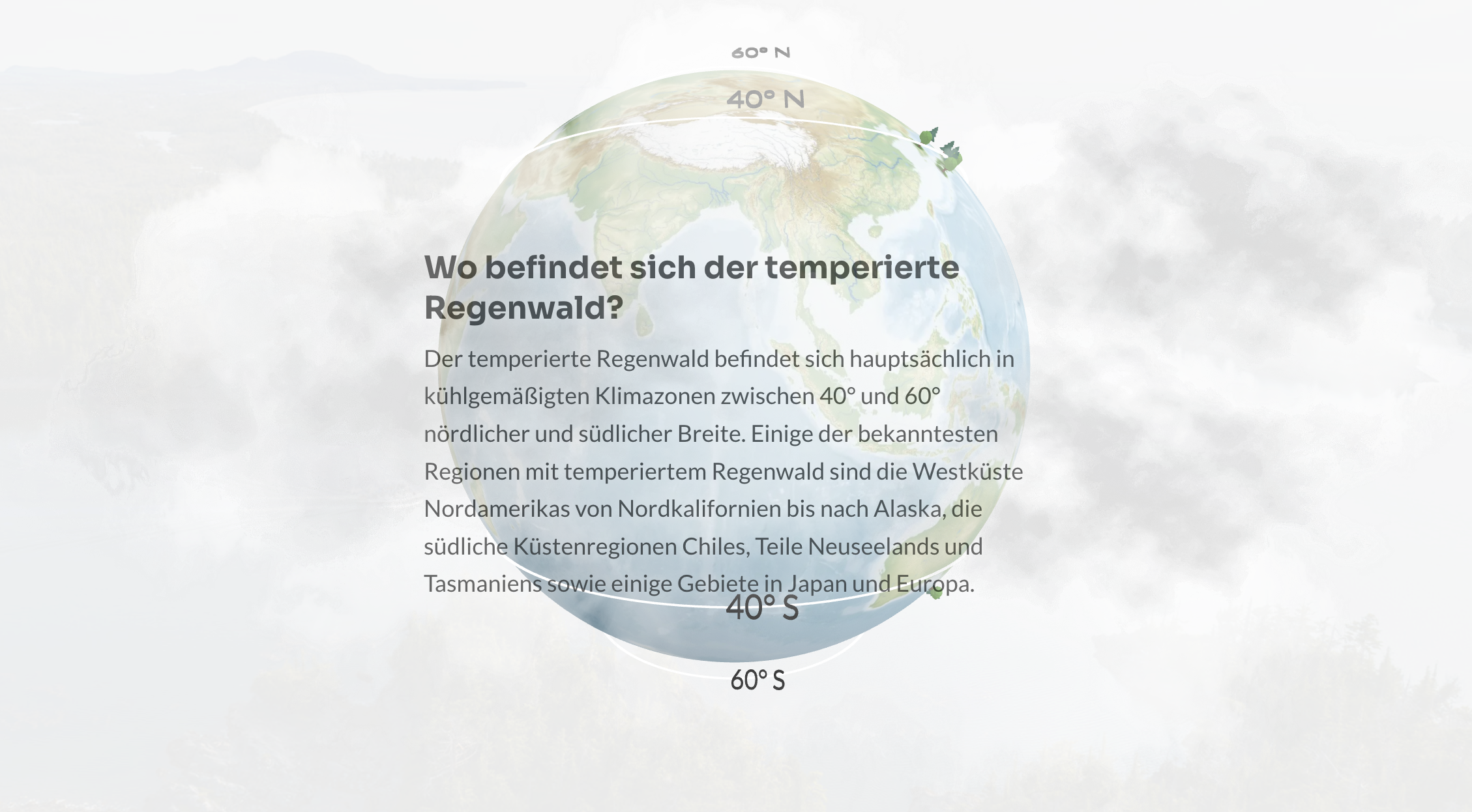 Wilderness International