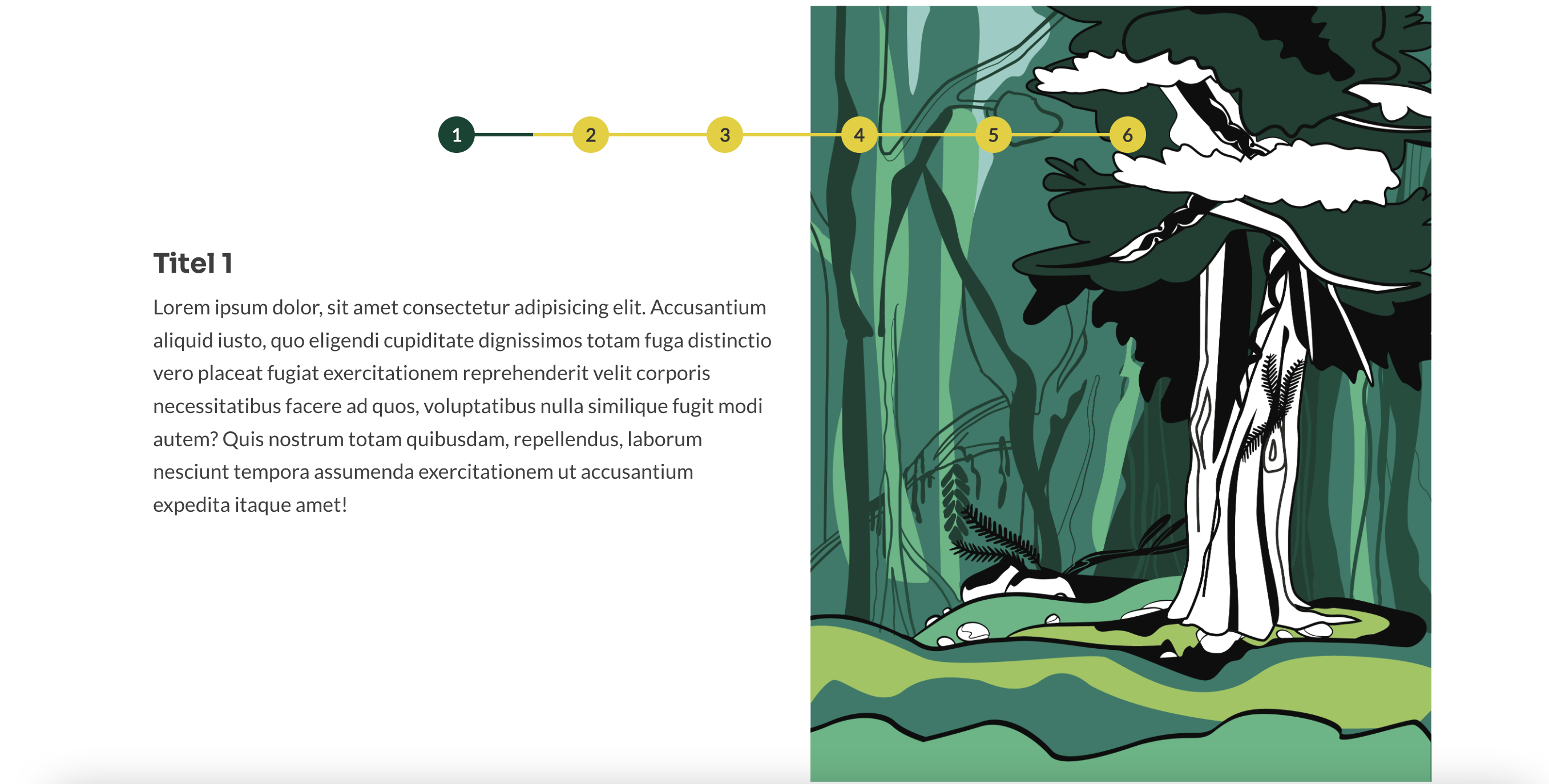 Wilderness International