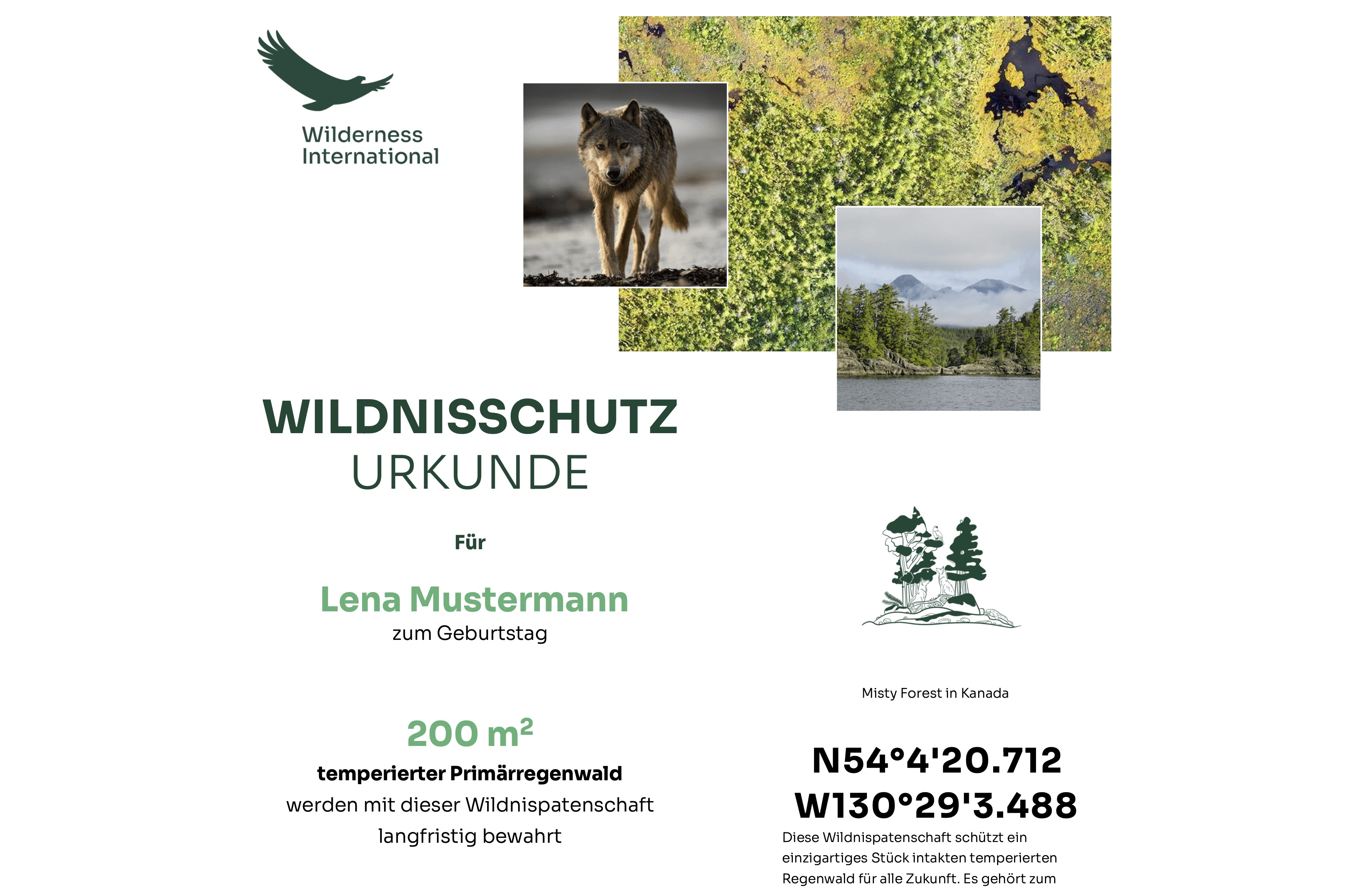 Wilderness International