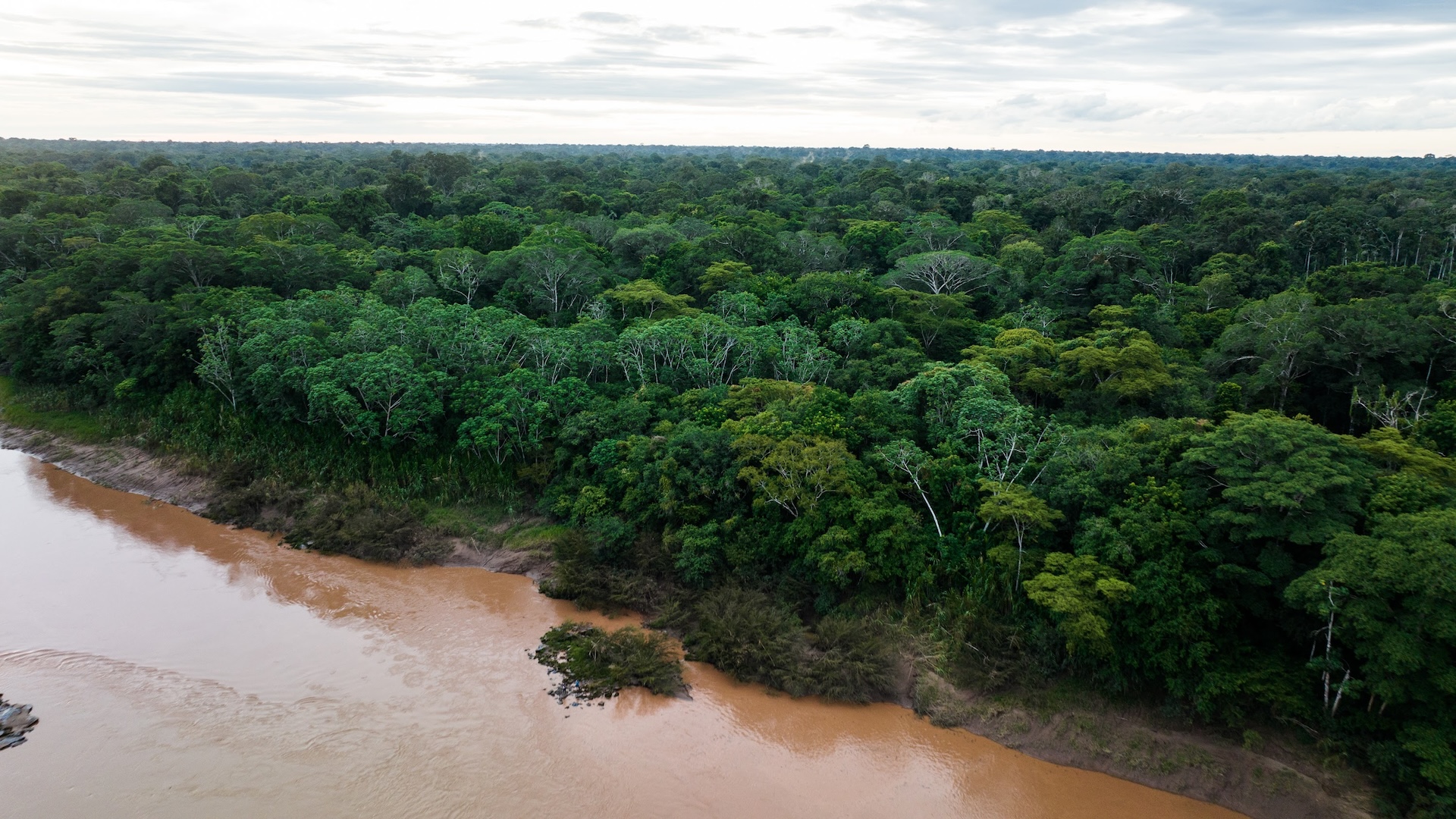 Wilderness International