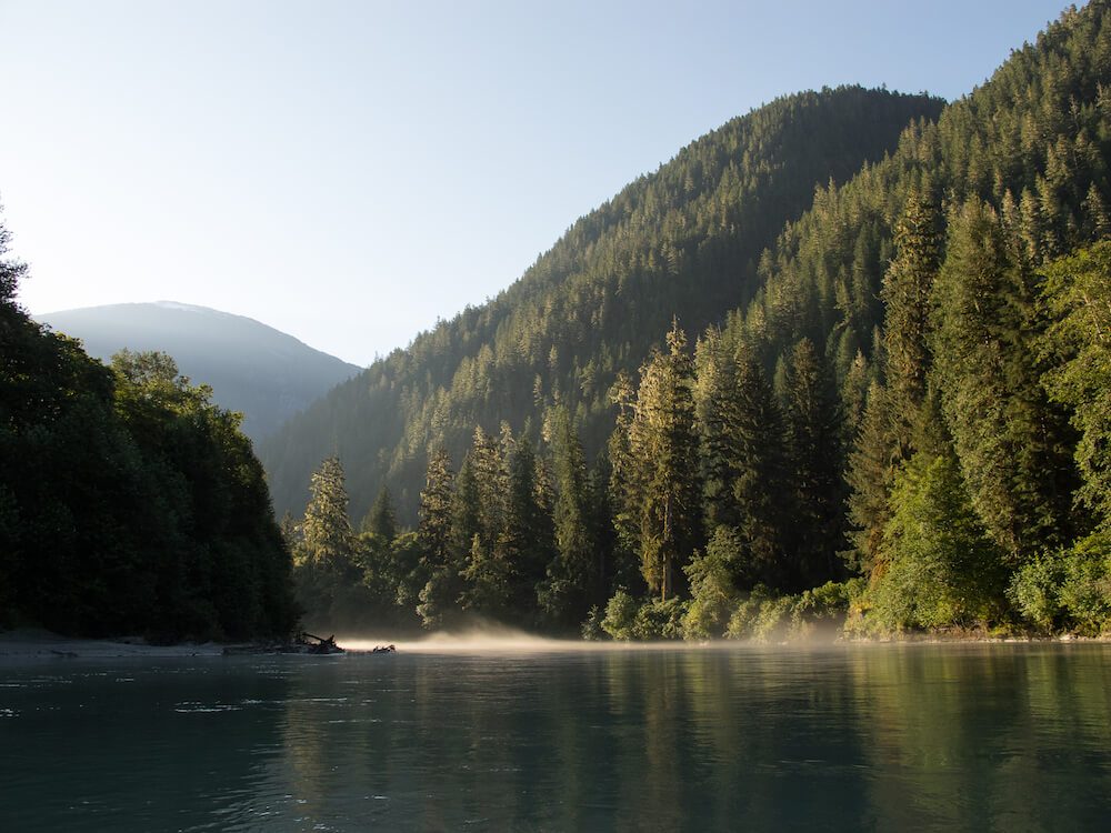 Wilderness International